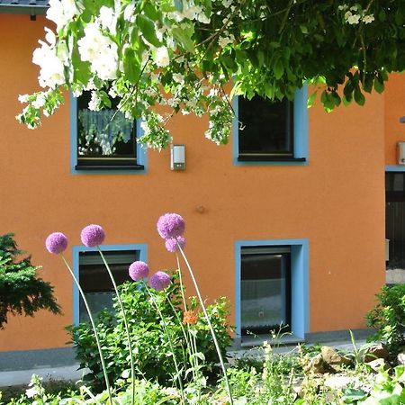 Ferienwohnung Zur Muehle Sotzweiler Exterior foto