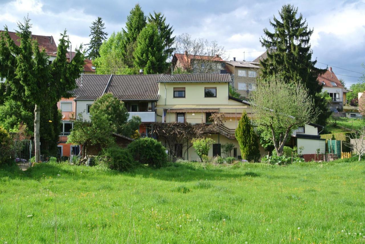 Ferienwohnung Zur Muehle Sotzweiler Exterior foto