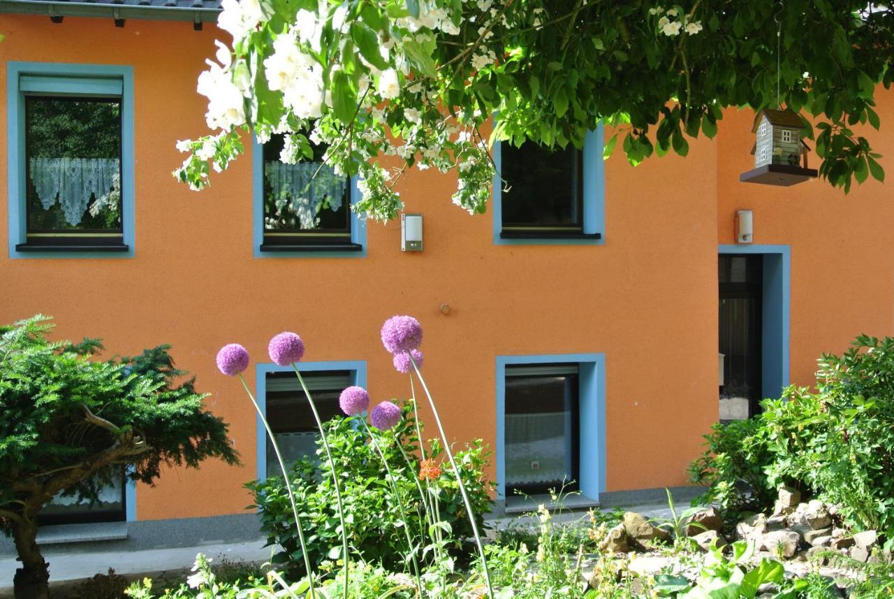 Ferienwohnung Zur Muehle Sotzweiler Exterior foto